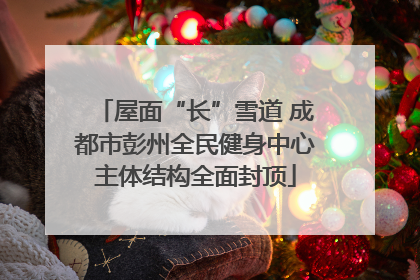 屋面“长”雪道 成都市彭州全民健身中心主体结构全面封顶